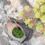 Luxury Silvana With Beautiful Garden Сплит