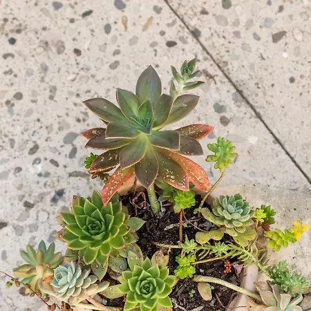 Luxury Silvana With Beautiful Garden 3*