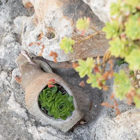 Luxury Silvana With Beautiful Garden Спліт