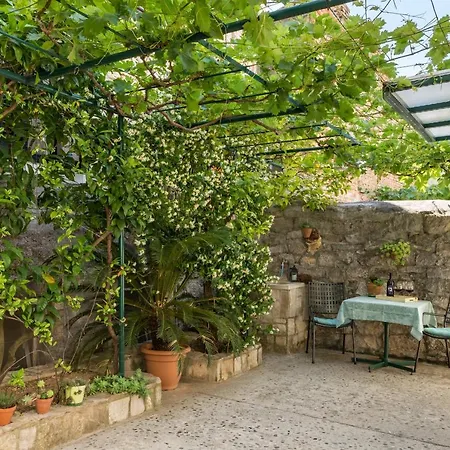 Luxury Silvana With Beautiful Garden Casa de hóspedes 3*