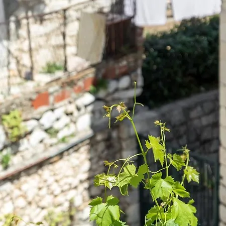 Luxury Silvana With Beautiful Garden Split